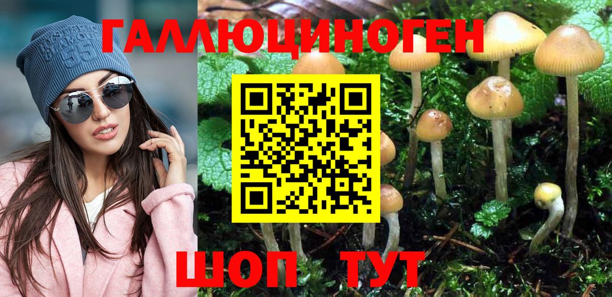 Псилоцибиновые грибы MAGIC MUSHROOMS Сунжа