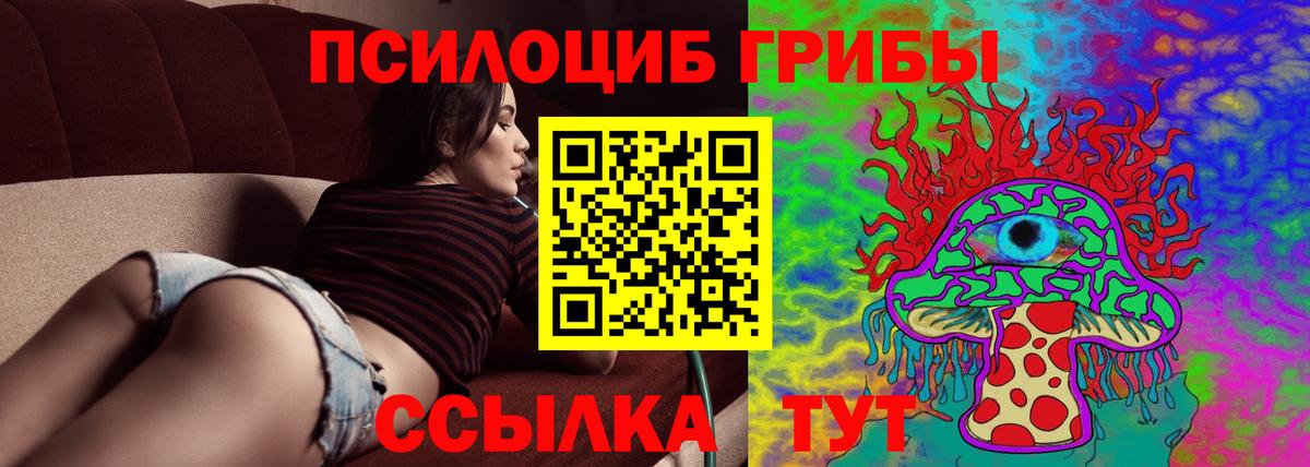 Галлюциногенные грибы Psilocybe  Вход с VPN  Сунжа 
